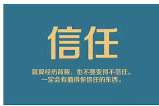 薇薇朵最強戰(zhàn)隊紫芳強勢招代理 攜手共創(chuàng)互聯(lián)網(wǎng)數(shù)據(jù)服務新篇章