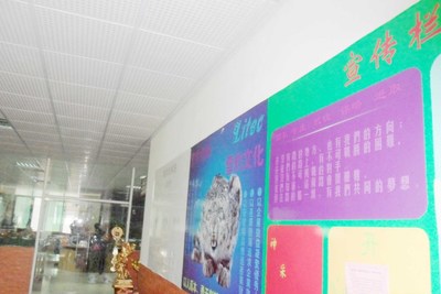 廣州市增城來利電子加工廠的鏡界銷售策略分析